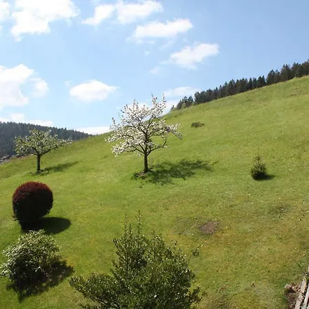 Διαμέρισμα Herbert