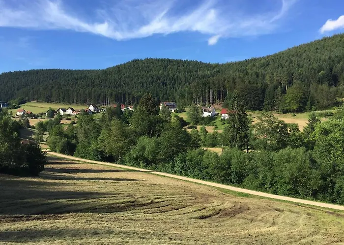 Appartement Herbert Baiersbronn